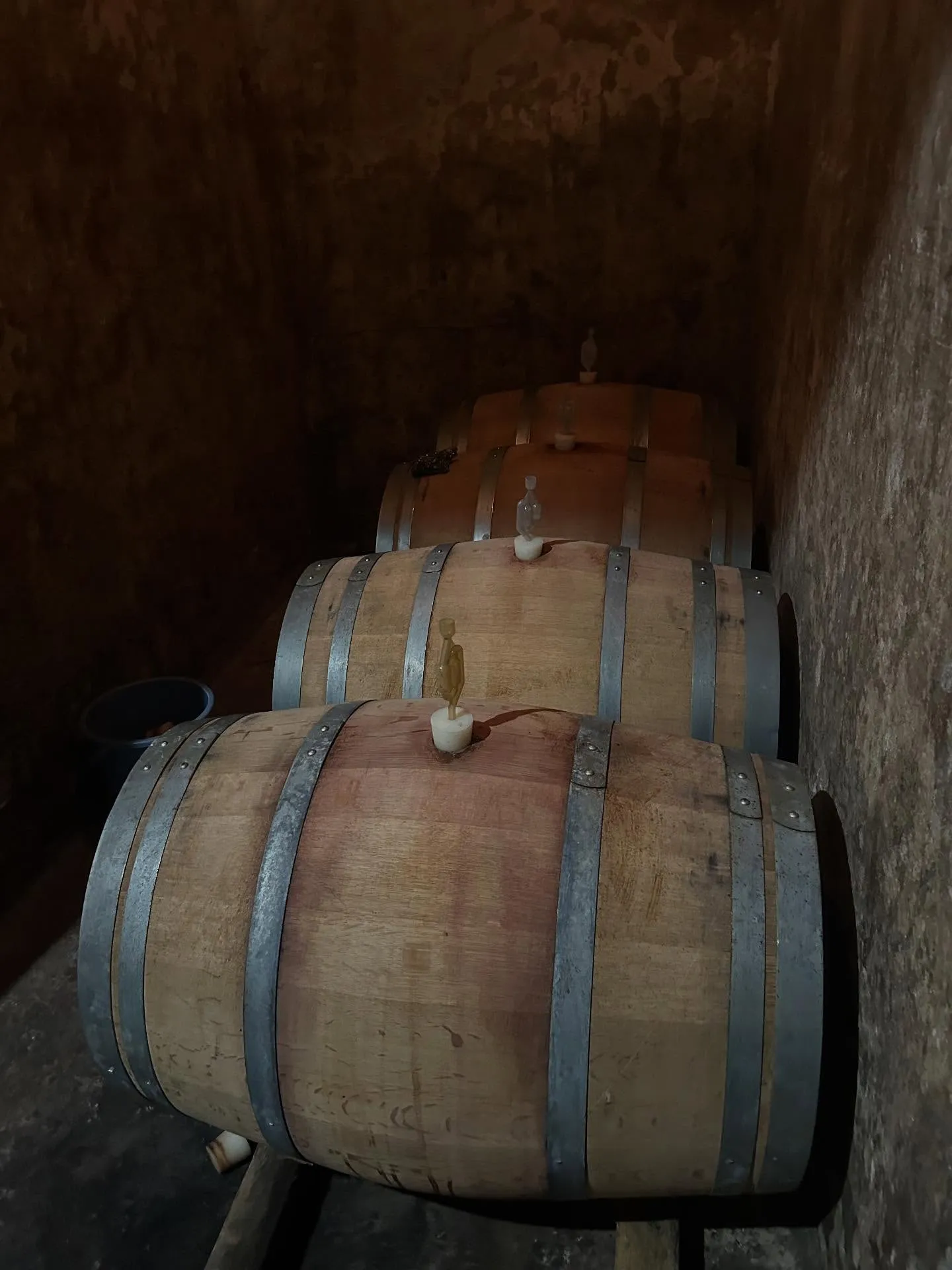 🍇山梨ルミエールワイナリー🍇