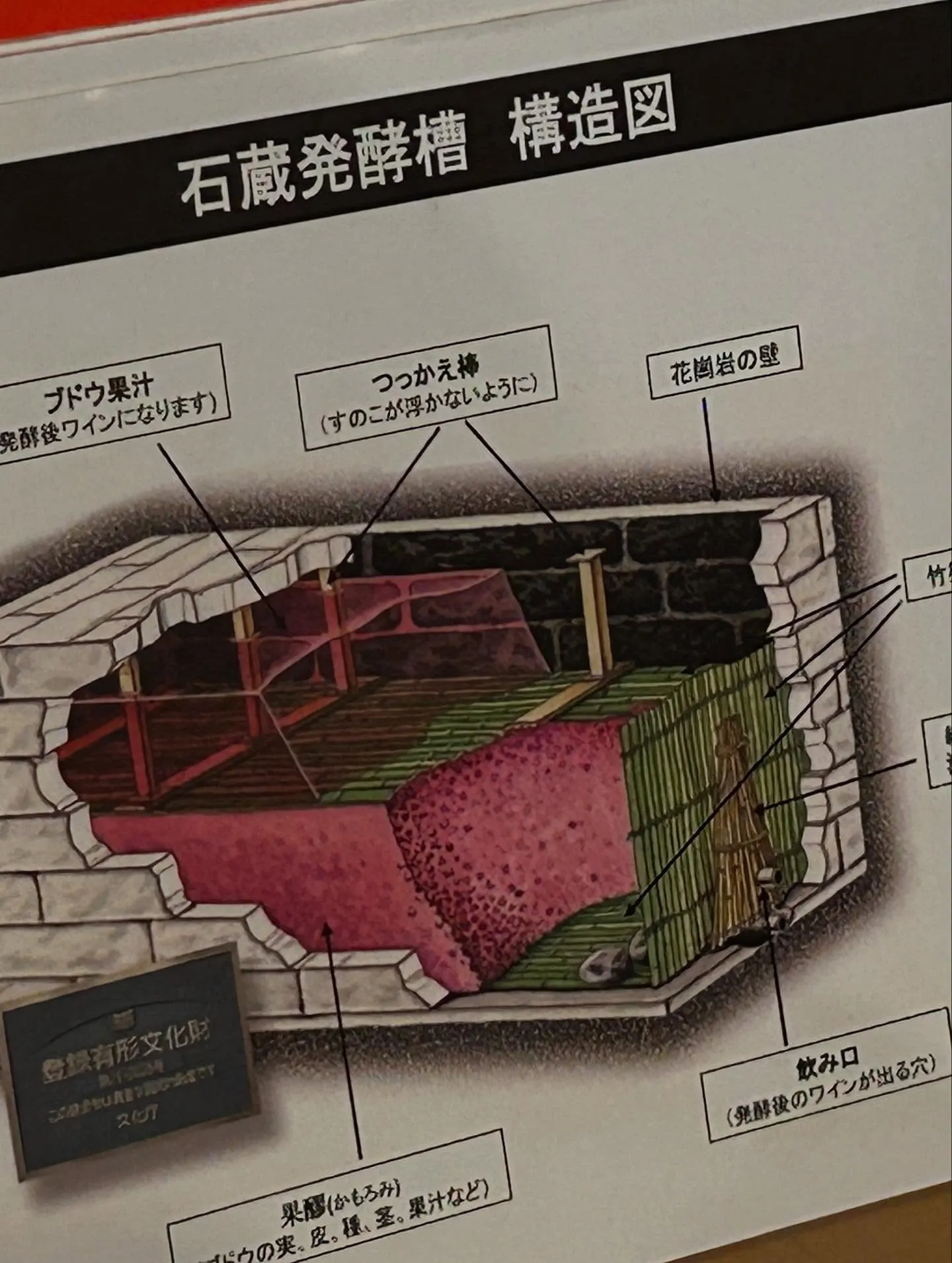 🍇山梨ルミエールワイナリー🍇