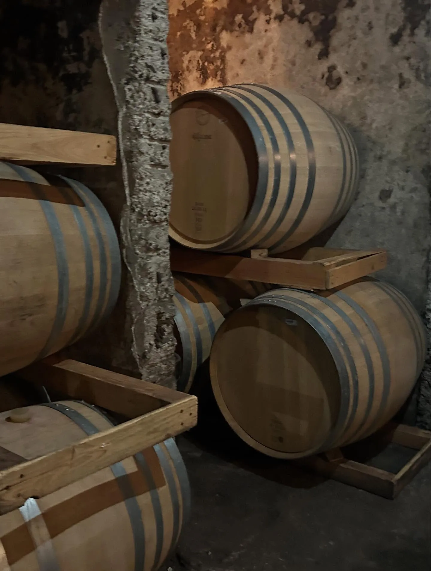 🍇山梨ルミエールワイナリー🍇